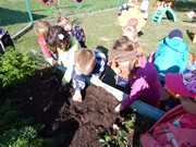 Sklízíme úrodu na zahrádce